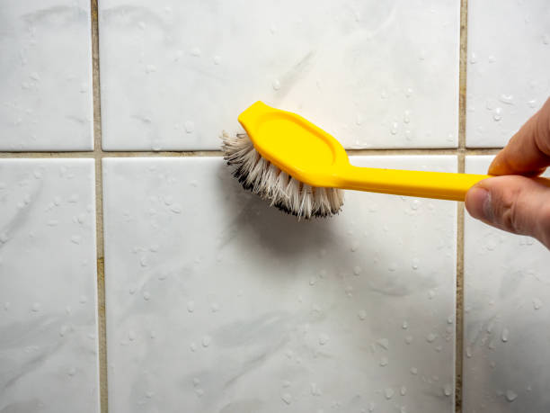 Mold Testing and Removal in Grantsburg, WI