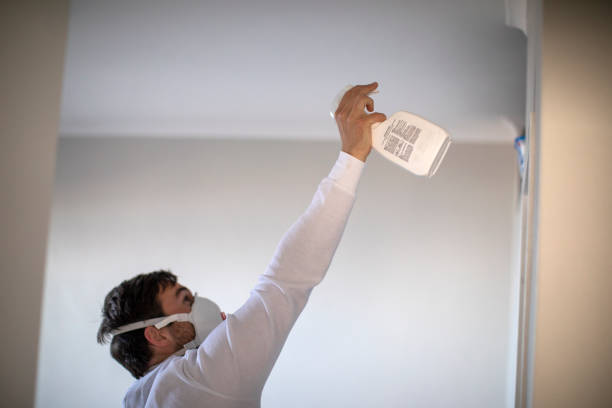 Best Mold Removal Company Near Me  in Grantsburg, WI
