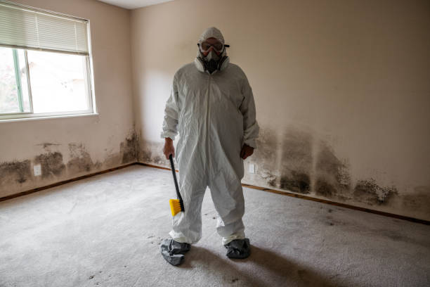 Best Professional Mold Removal  in Grantsburg, WI